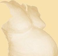 Bild eines Gipsabdrucks eines Schwangerenbauches